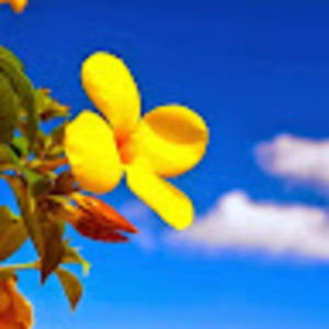 Meet your Posher, Hillary